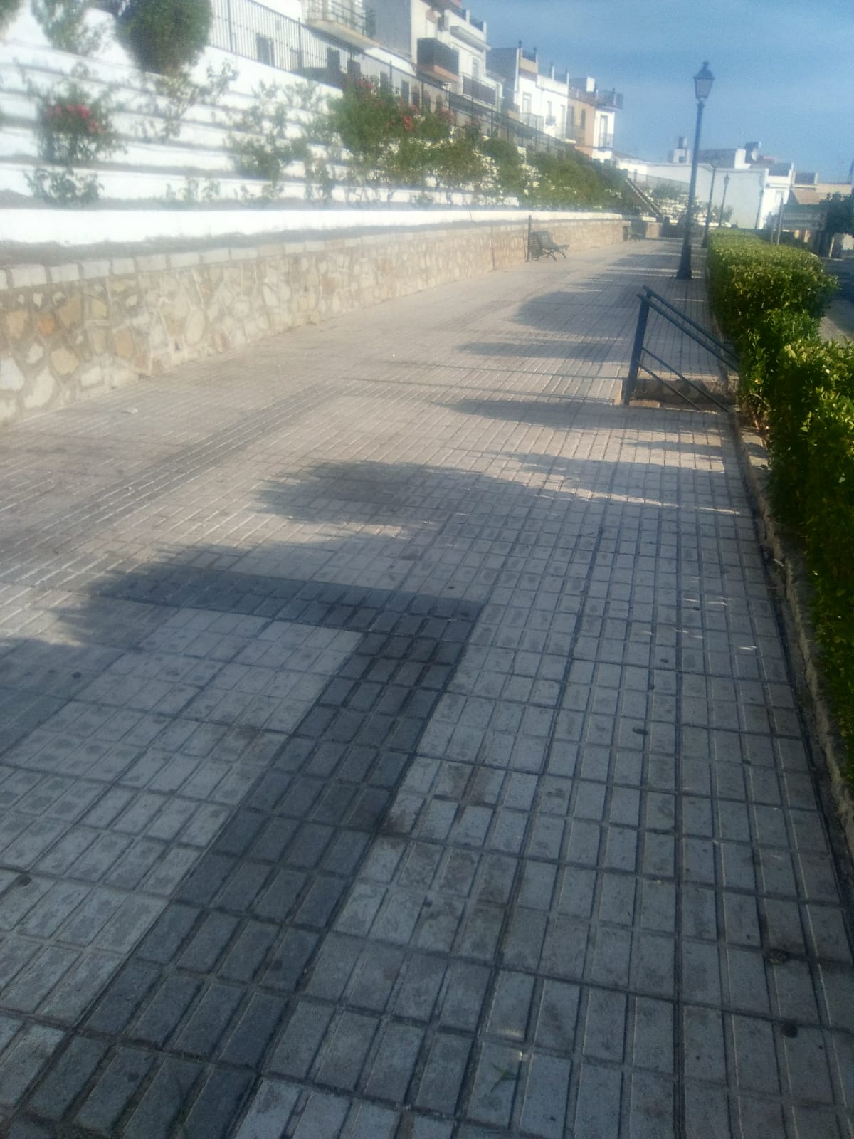 Limpieza desbroce 1 27072019