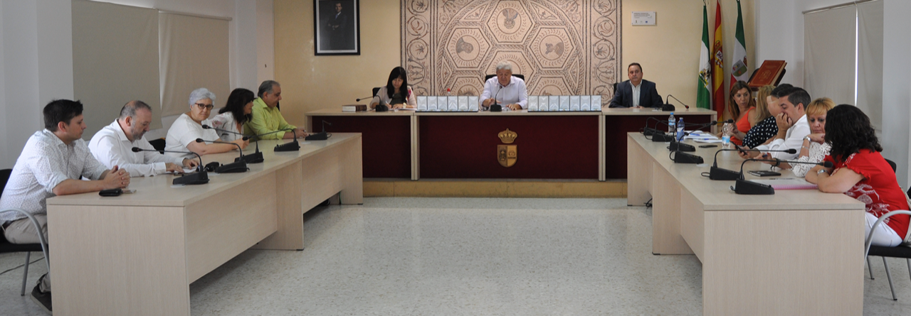 Pleno organizacion 1 08072019