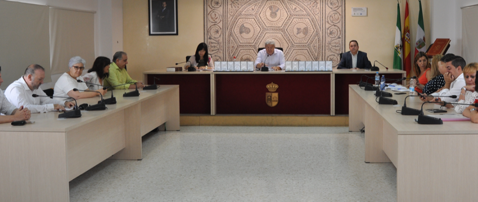 Pleno organizacion 1 08072019