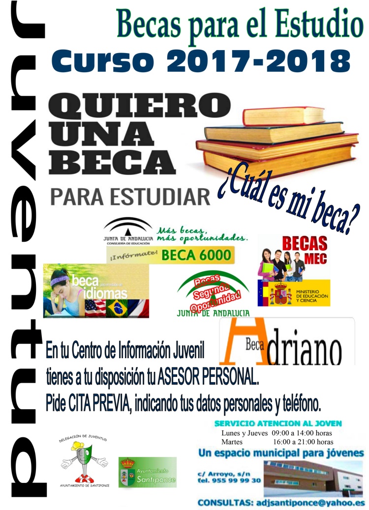 Publicidad BECAS 25082017