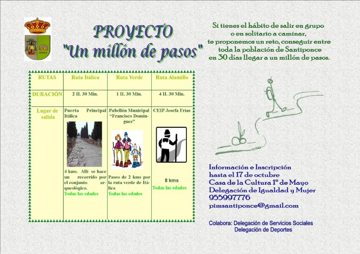 cartel PROYECTO UN MILLÓN DE PASOS A3 07102011