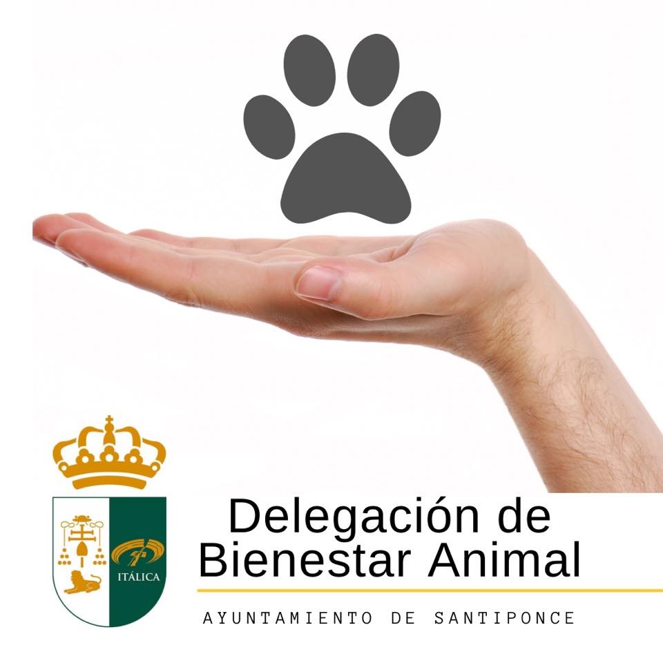Bienestar Animal