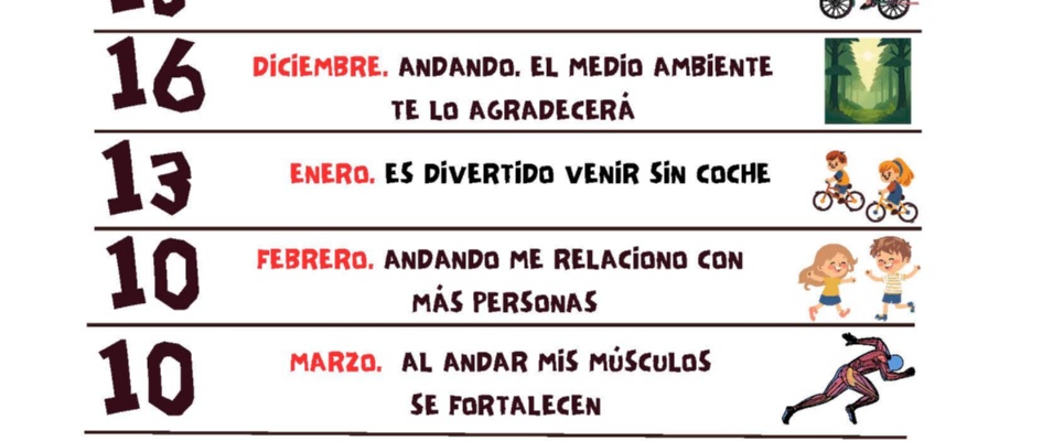 CARTEL pedibus 20262027