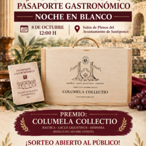 Modelo de Cartel Sorteo Pasaporte