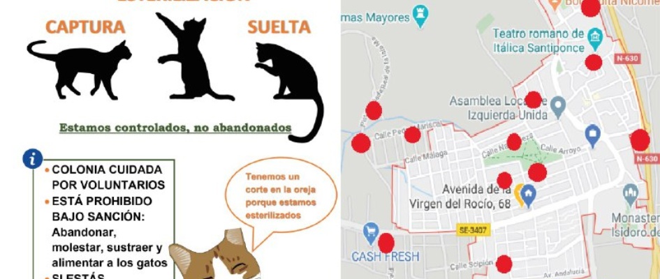 colonias gatos 25032020