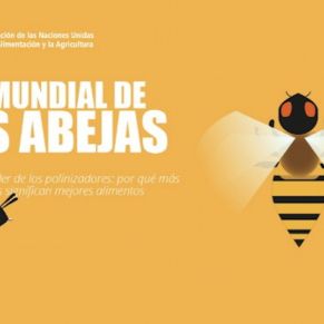 dia abejas