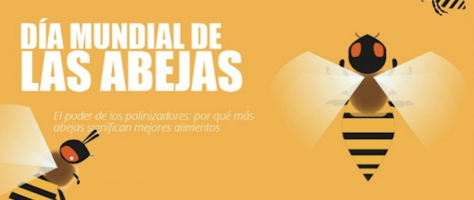 dia abejas