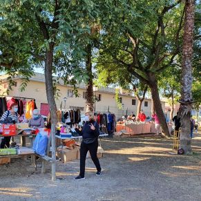 mercadillo 8