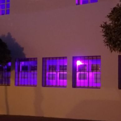 noche violeta 12 21092019