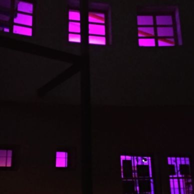 noche violeta 14 21092019