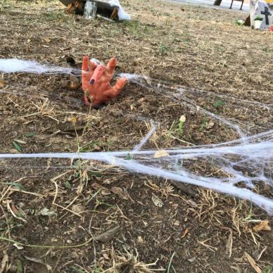 photo_2019-11-02_18-48-39