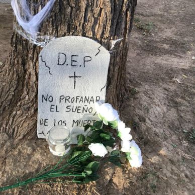 photo_2019-11-02_18-48-43