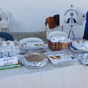 photo_2020-02-21_09-21-11