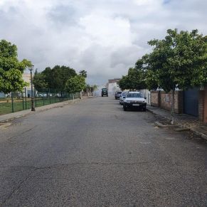 photo_2020-03-22_11-21-46