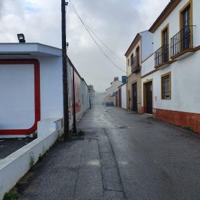 photo_2020-03-22_11-21-51