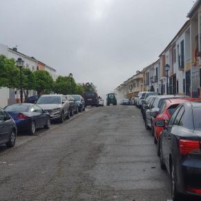 photo_2020-03-22_11-22-15