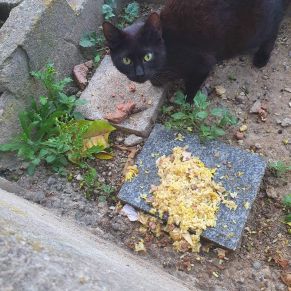 photo_2020-05-12_11-58-54