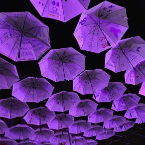 photo_2020-11-25_08-38-05