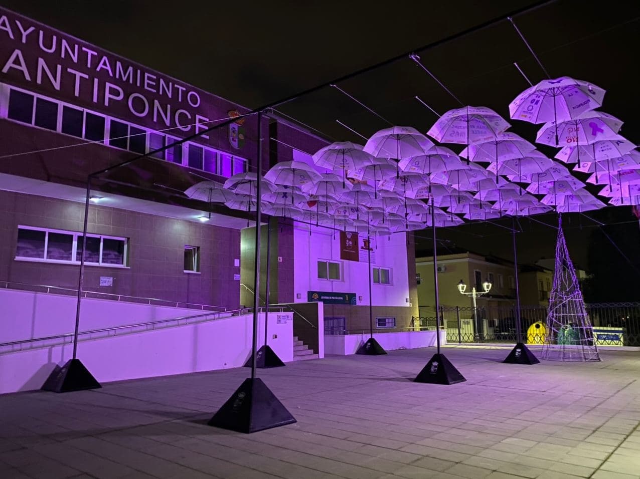 photo_2020-11-25_08-38-07