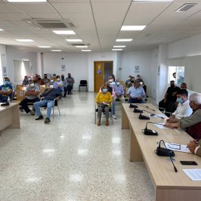 photo_2021-05-06_08-38-03