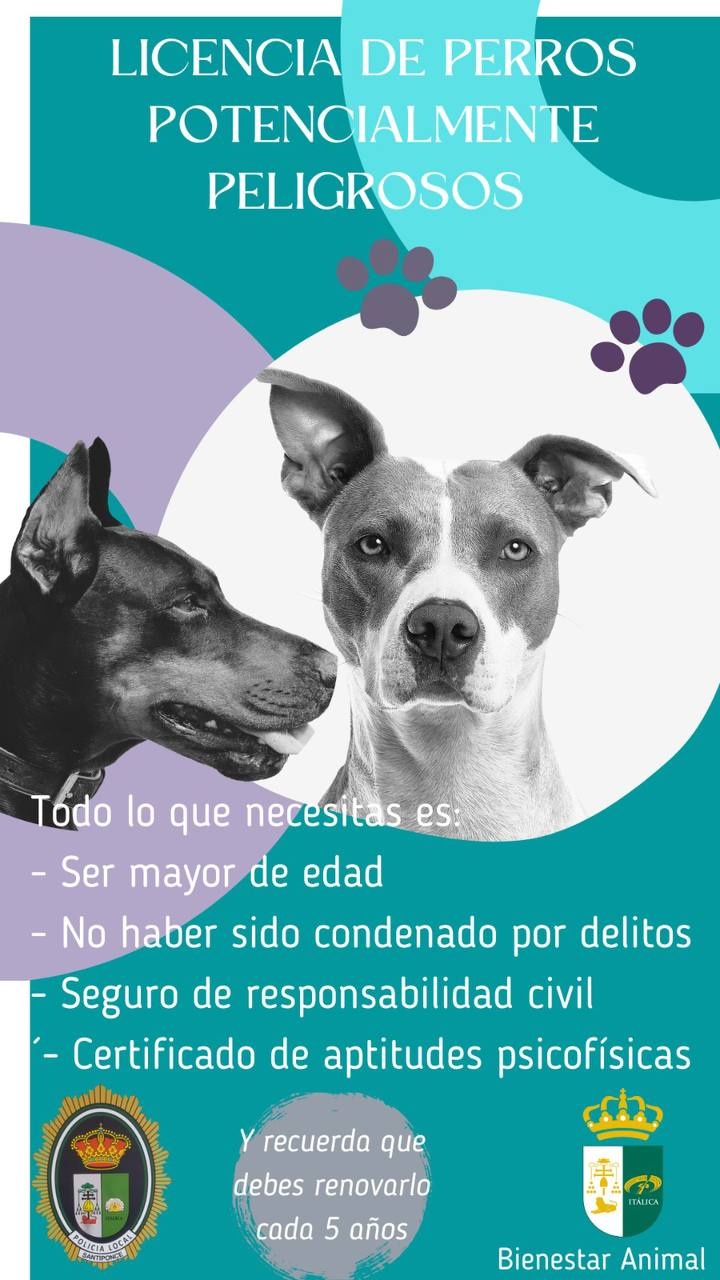 photo_2023-04-14_10-36-20