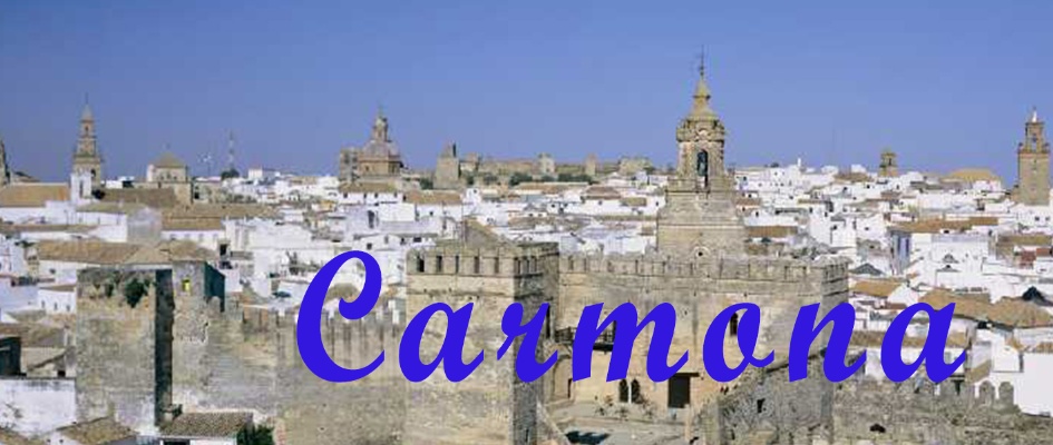 visita carmona 06112019