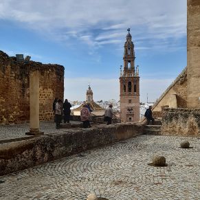 visita carmona 4 25112019