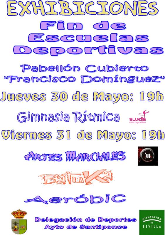 Exhibiciones Escuelas deportivas 2013 27052013