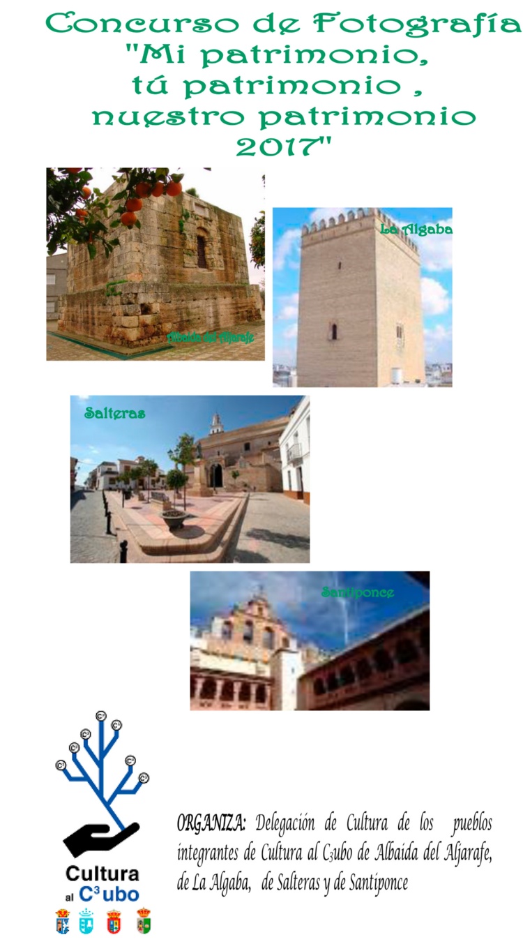 Fotografia c3 06032017