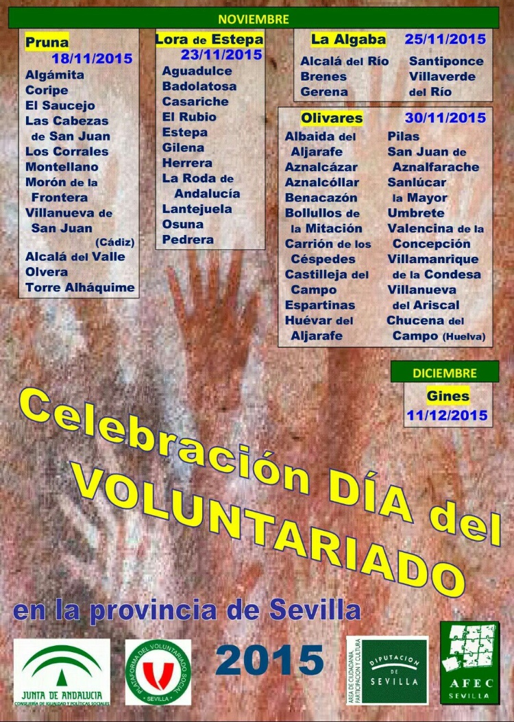 dia del voluntariado 2015 19112015