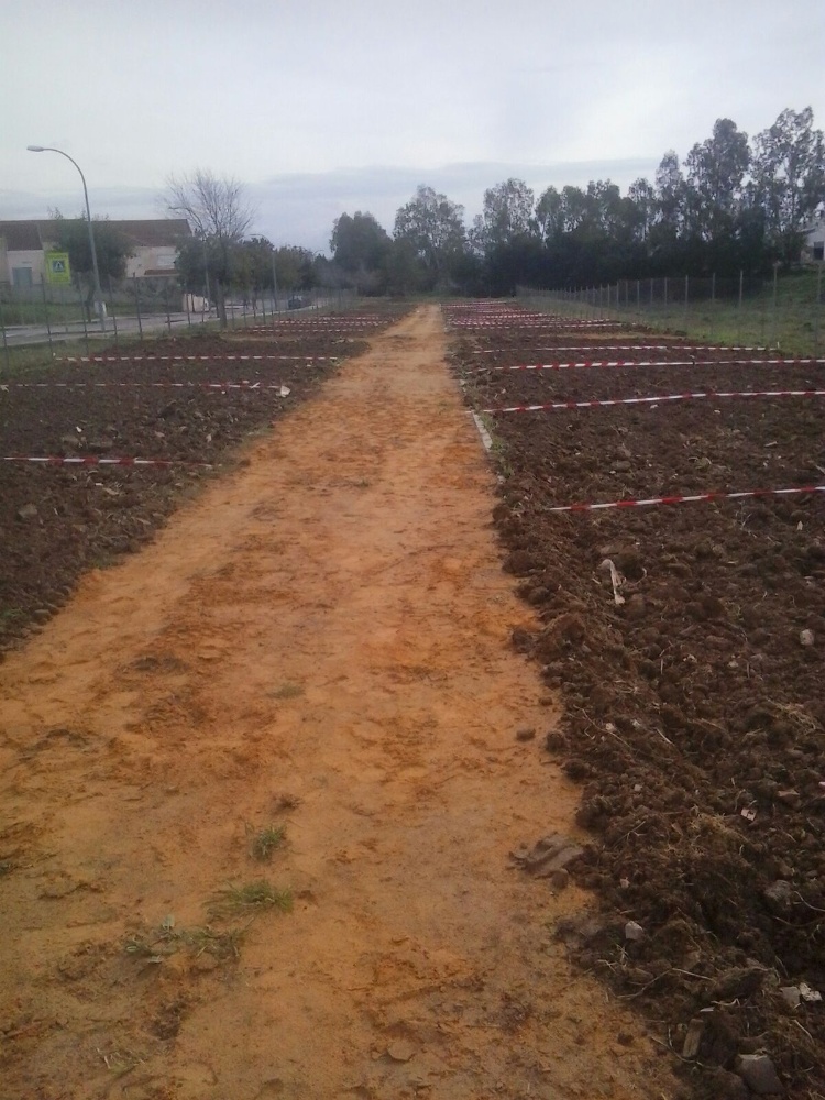 huertos urbanos 22022016