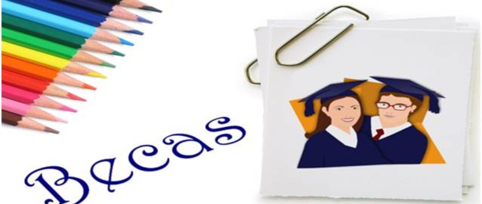 logo_becas_06092013.jpg